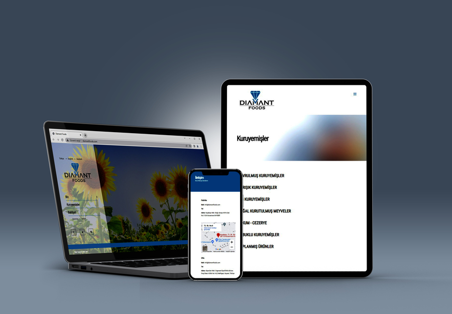 Web Tasarım
